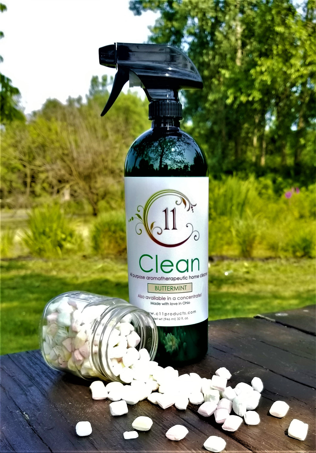 C11 Clean 32 ounce ready to use cleaner
